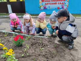 Знакомство с растениями в детском саду. Знакомство с растениями в детском саду.