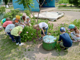 Летняя прогулка Летняя прогулка.